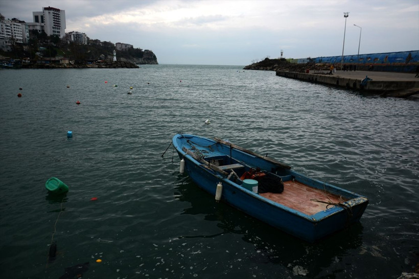Balıkçılar bu yıl palamutta umduğunu bulamadı - Resim: 3