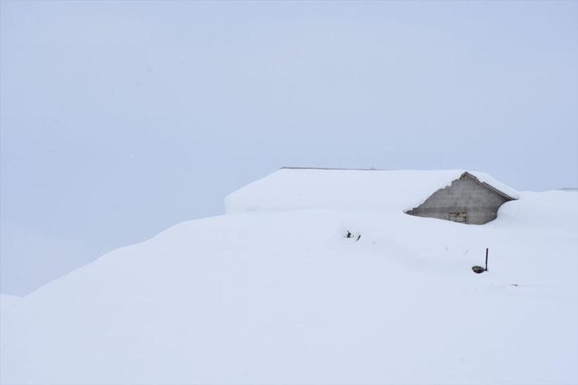 Muş Valiliği açıkladı! 10 Ocak cuma yarın okullar tatil - Resim: 4