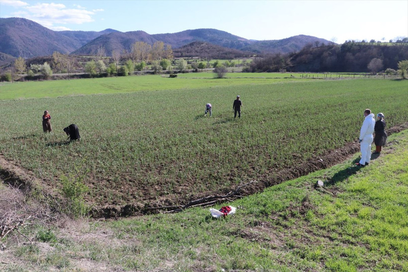 Kastamonu'da çiftçilerin sosyal mesafesi drone ile denetleniyor - Resim: 1