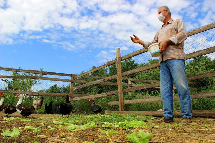 Edirne'de cins tavuk yetiştiren esnaf 'mavi yumurta' talebine yetişemiyor - Resim: 4