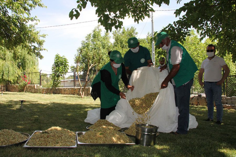Adıyamanlı köylü sırrını açıkladı Erdoğan ‘her sabah bir kaşık içiyorum' demişti - Resim: 3