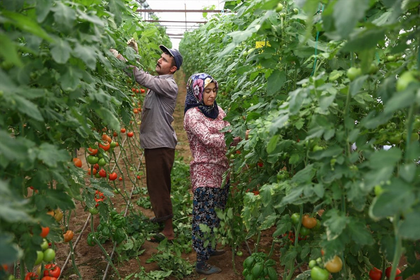Antalya'da Perihan Köse dolandırıcılar sayesinde kendi işinin patronu oldu - Resim: 3