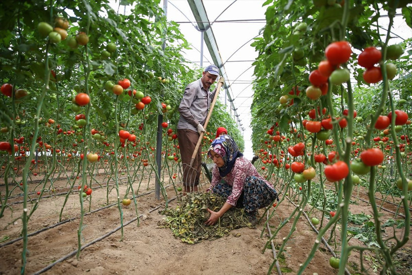 Antalya'da Perihan Köse dolandırıcılar sayesinde kendi işinin patronu oldu - Resim: 2
