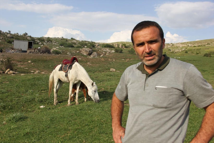 Sivas'ta annesi olmayan danayı at emziriyor merhametin böylesi - Resim: 3