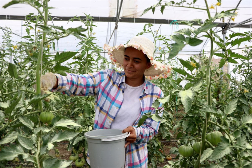 İş bulamayan üniversiteli genç kadın kendi işini kurdu kazancı da güzel - Resim: 3