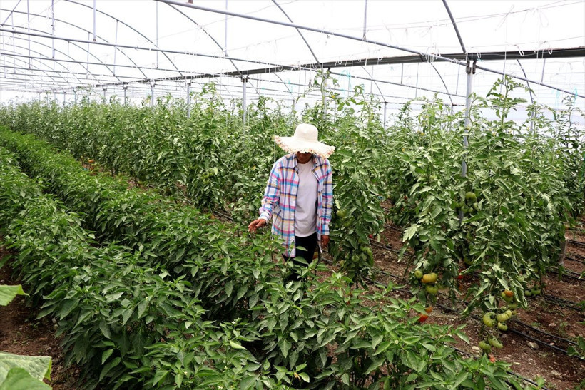 İş bulamayan üniversiteli genç kadın kendi işini kurdu kazancı da güzel - Resim: 1