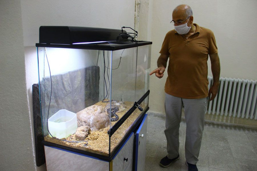 Yılanların turşusunu kuran profesör görenleri şaşırtıyor - Resim: 4