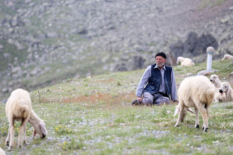Kayseri'de 18'lik gençlerin gezemediği dağlarda 40 yıldır geziyor - Resim: 3