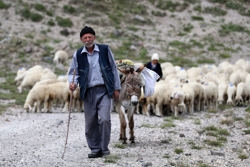 Kayseri'de 18'lik gençlerin gezemediği dağlarda 40 yıldır geziyor - Resim: 2