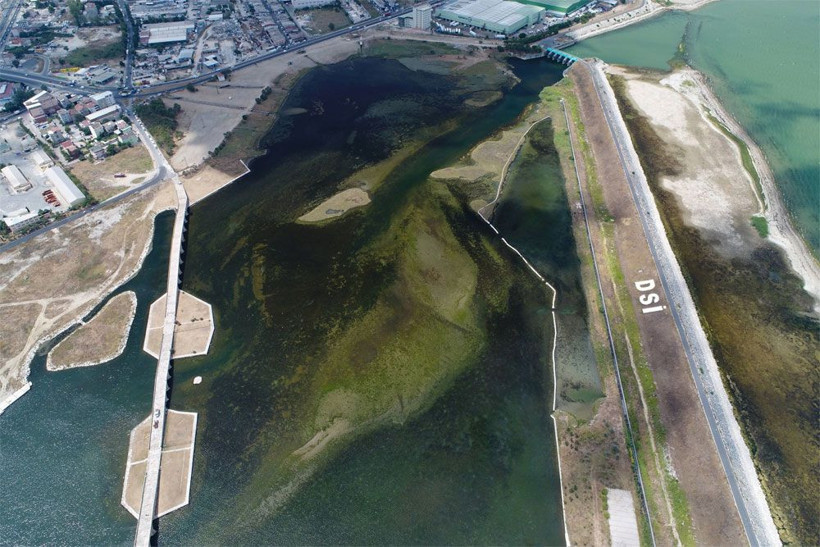 Büyükçekmece Gölü'nde su seviyesi düştü! Son hali korkunç - Resim: 3