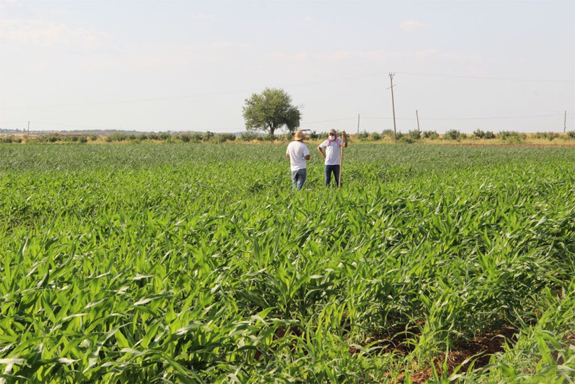 Malatya depremi sonrası Şanlıurfa’da dev obruk! Köylüler şokta - Resim: 1