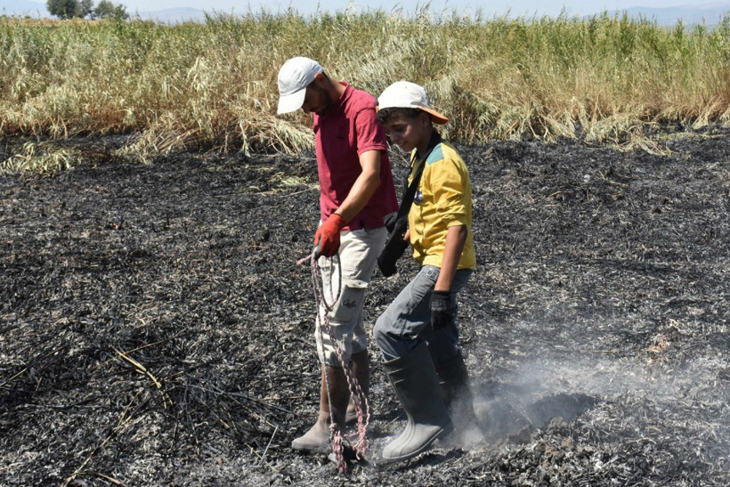 Manisa'da meteor yangını olduğu iddia edilen alanda mıknatıslarla gök taşı aradılar - Resim: 2