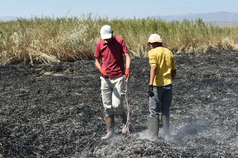 Manisa'da meteor yangını olduğu iddia edilen alanda mıknatıslarla gök taşı aradılar - Resim: 3