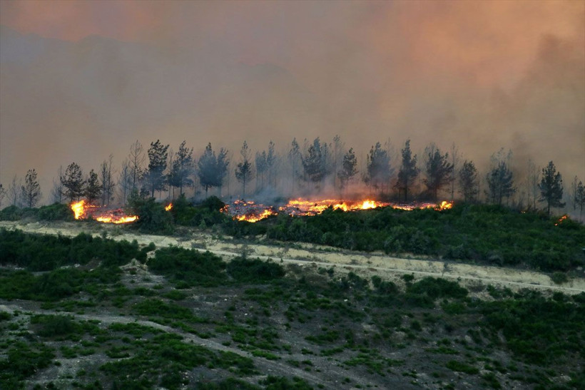 Adana Kozan'daki orman yangını sürüyor! Tarım ve Orman Bakanı Bekir Pakdemirli'den açıklama - Resim: 1