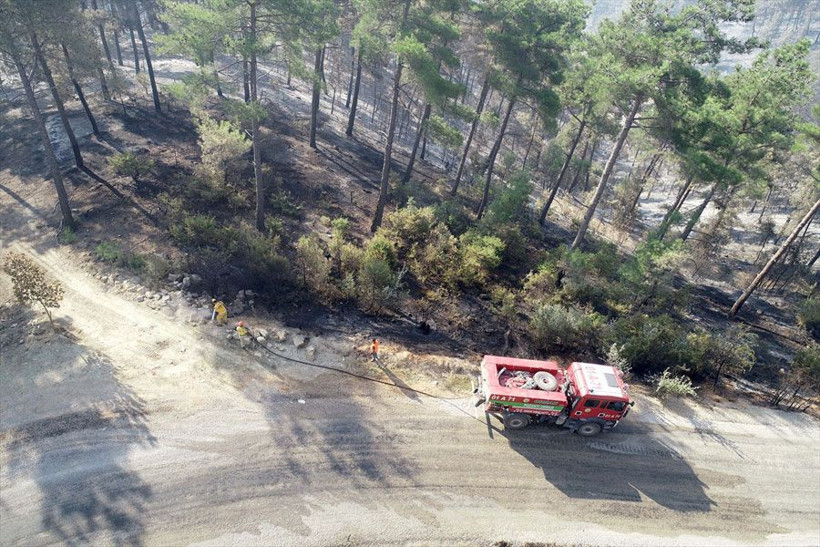 Kozan'daki 3 gün süren yangın! 280 futbol sahası büyüklüğünde alan kül oldu - Resim: 1