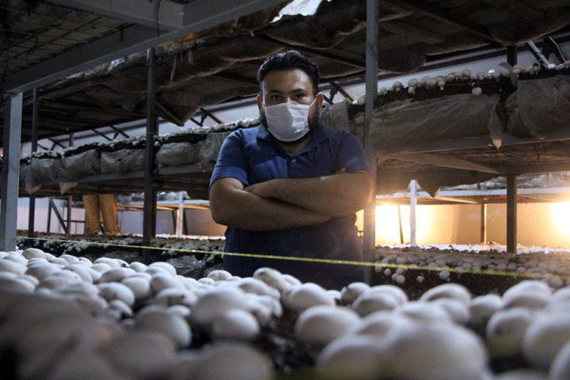 Bolu'da 70 bin TL yatırımla üretti 45 günde bir 20 bin TL kazanıyor - Resim: 1