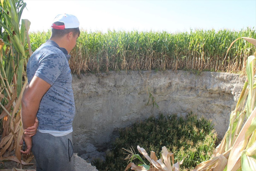 Konya'da tarlada çalışırken bir anda gördü çok büyük ve korkutucuydu - Resim: 1