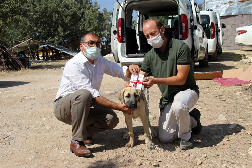 Uşak'ta yaşayan genç CİMER'den istedi! Devlet ayağına kadar getirdi - Resim: 1