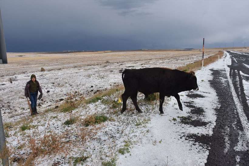 Kars eylülde beyaza büründü! Dolu yağışı kent merkezinde hayatı durdurdu - Resim: 3