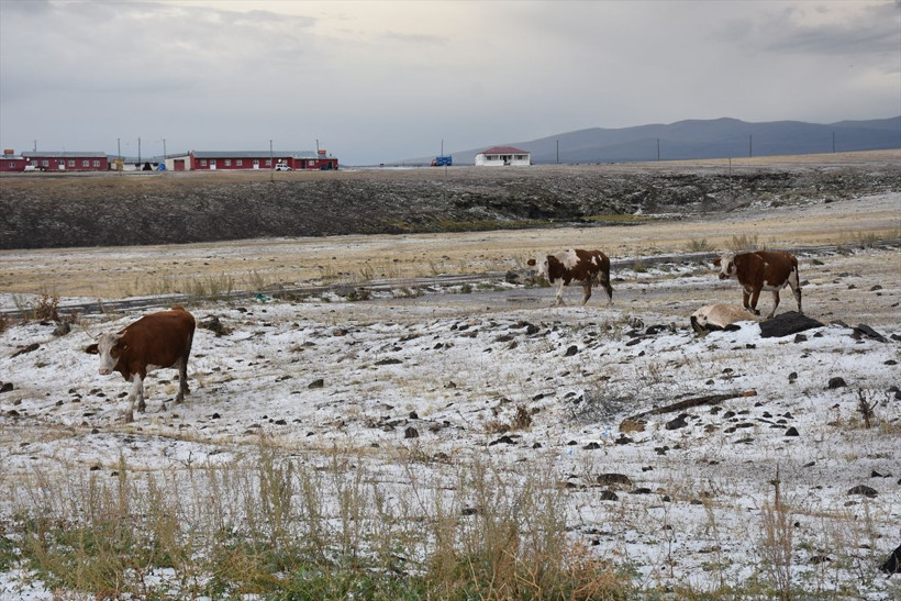 Kars eylülde beyaza büründü! Dolu yağışı kent merkezinde hayatı durdurdu - Resim: 4