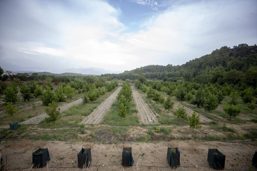 Antalyalı genç bu iş için bilgisayar mühendisliğini bıraktı! Siparişlere yetişemiyor - Resim: 1