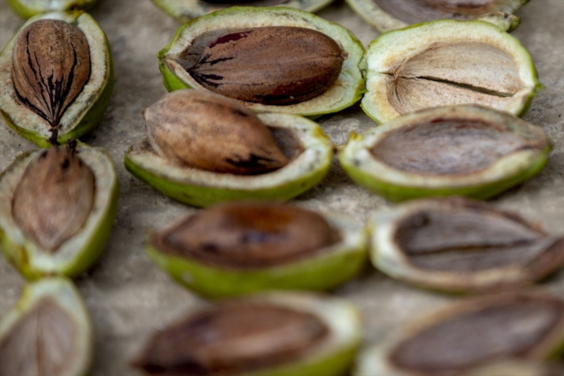 Antalyalı genç bu iş için bilgisayar mühendisliğini bıraktı! Siparişlere yetişemiyor - Resim: 3