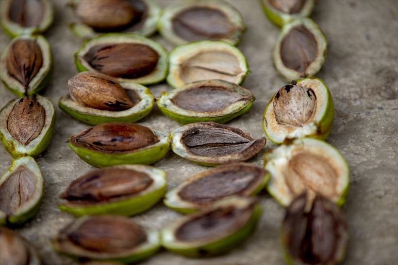 Antalyalı genç bu iş için bilgisayar mühendisliğini bıraktı! Siparişlere yetişemiyor - Resim: 4