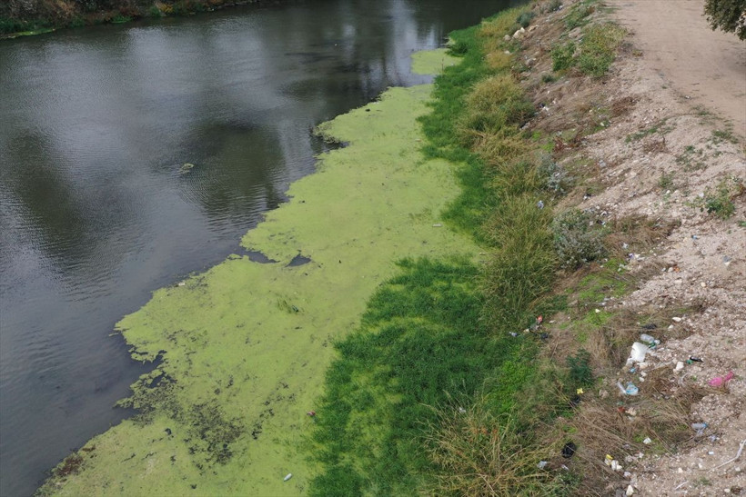 Edirne'de tepki çeken görüntü! Sular çekilince ortaya çıktı - Resim: 2