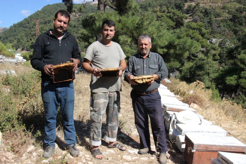 Aydın'da arılar 'Allah', Hasbinallah' yazıp kovanı terk ediyorlar - Resim: 1