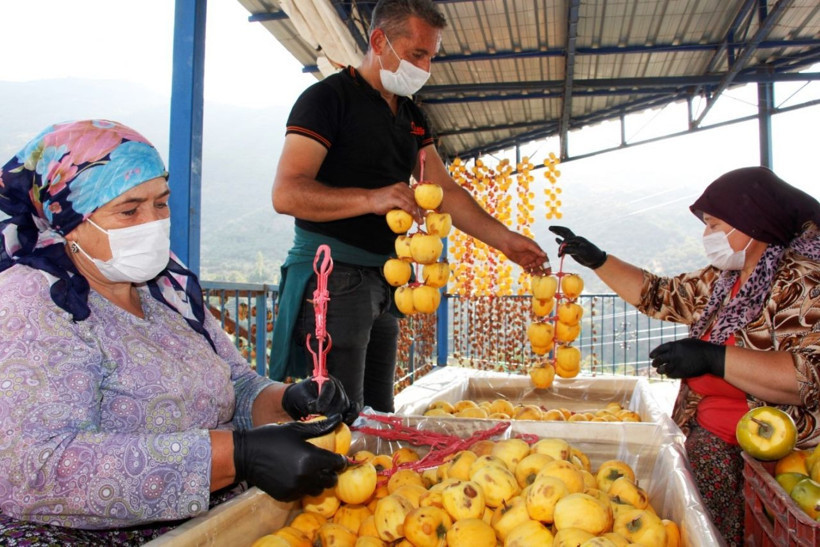 İzmirli kadın 5 kiloyla başladı 60 ton üretiyor paraya para demiyor - Resim: 1