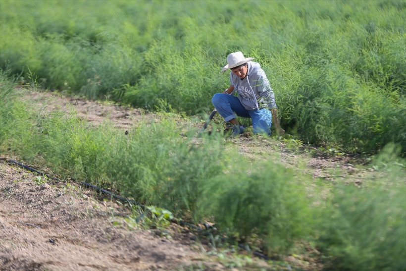 ODTÜ'lü kadın müdürlüğü bırakıp bu işe başladı! Şimdi paraya para demiyor - Resim: 2