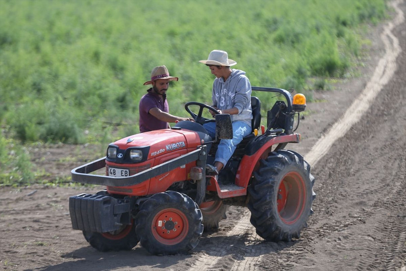 ODTÜ'lü kadın müdürlüğü bırakıp bu işe başladı! Şimdi paraya para demiyor - Resim: 4