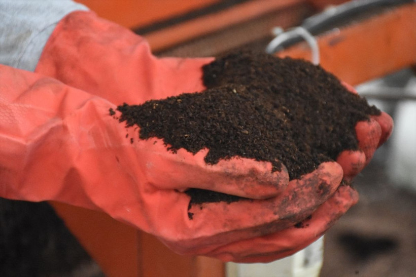 Emekli olup Afyonkarahisar'da bu işi yapmaya başladı paraya para demiyor! Çok hızlı ürüyorlar - Resim: 3