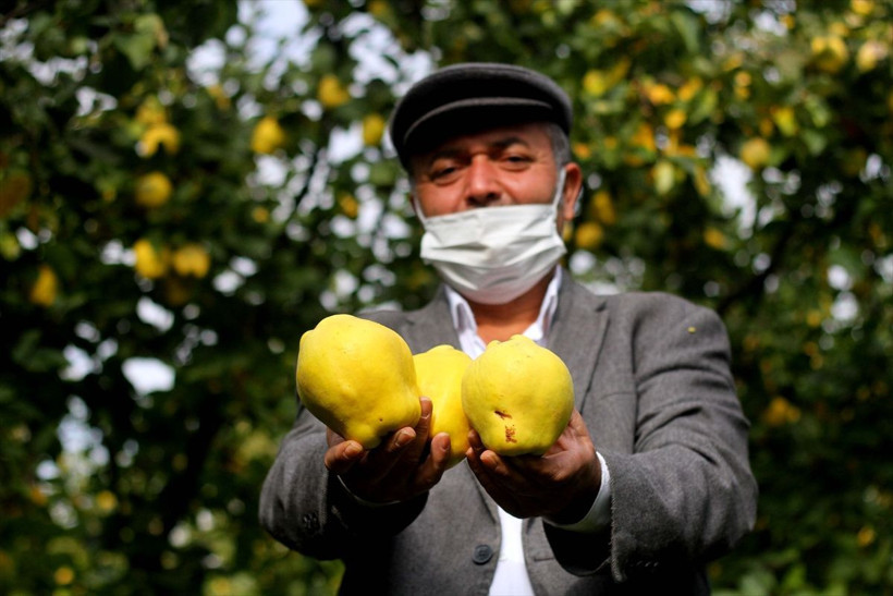 Kahramanmaraş'ta yetişiyor daha dalındayken satılıyor! Ülkeler sıraya girdi - Resim: 1
