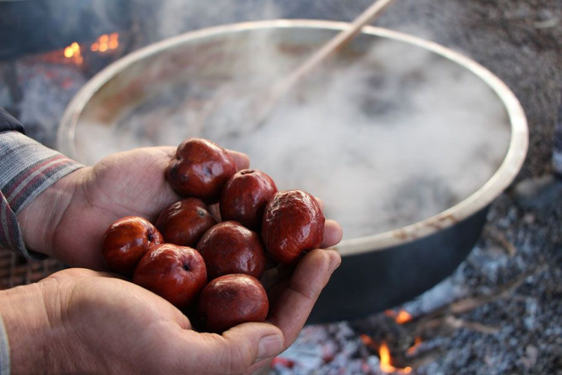 Amasya'da ümidini kestiği sırada rüyasında gördü 13 bin fidan dikti 600 ton sattı - Resim: 3