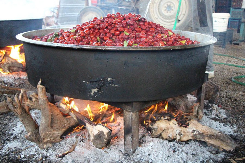 Amasya'da ümidini kestiği sırada rüyasında gördü 13 bin fidan dikti 600 ton sattı - Resim: 4