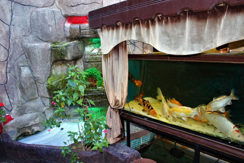 Kocaeli'de salgında azalan işlerini attırmak için kahvehanesine kurdu kimse dışarı çıkmıyor! - Resim: 4