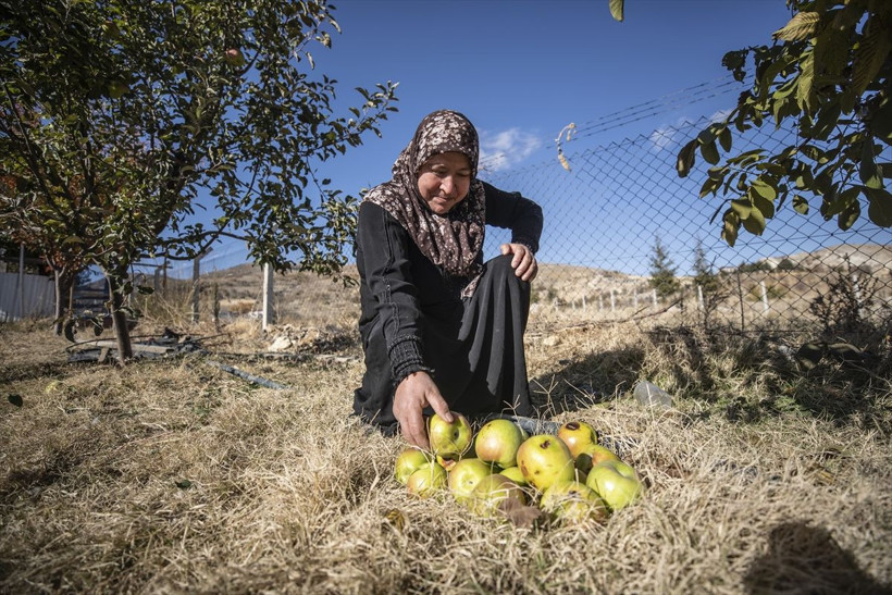 Ankara'da lüks evini bıraktı köye yerleşti marketin ve hastanenin yolunu unuttu - Resim: 1