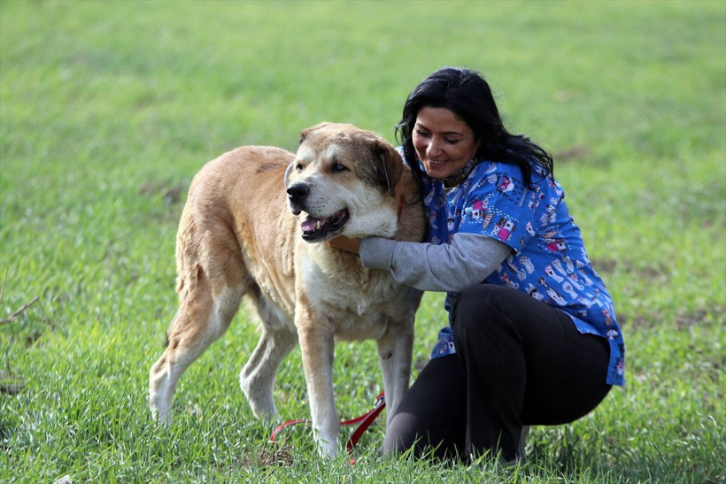 Aydın'da iyilik ve merhametin dokunduğu 'Koca Oğlan'ın şimdiki hali şaşırttı! - Resim: 3