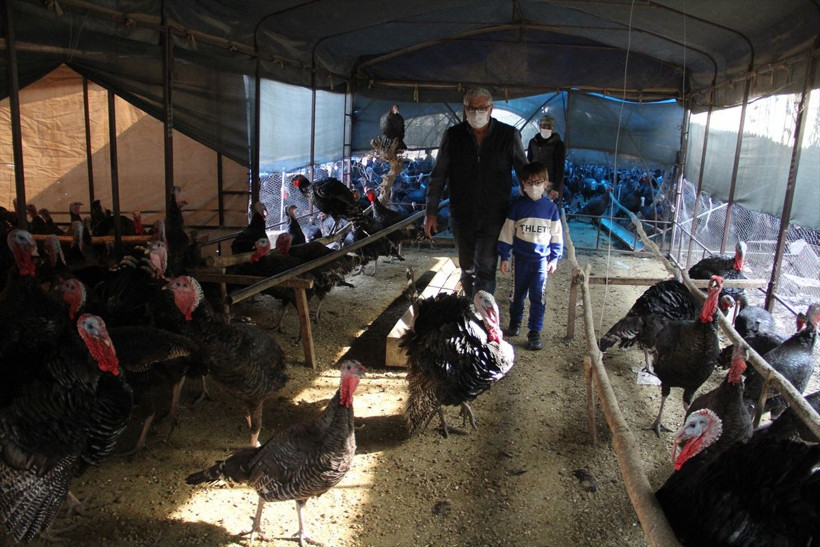 Hatay'da çizgi film yaşlı adamın hayatını değiştirdi! Şimdi paraya para demiyor - Resim: 2