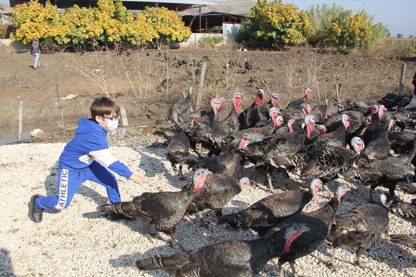 Hatay'da çizgi film yaşlı adamın hayatını değiştirdi! Şimdi paraya para demiyor - Resim: 4