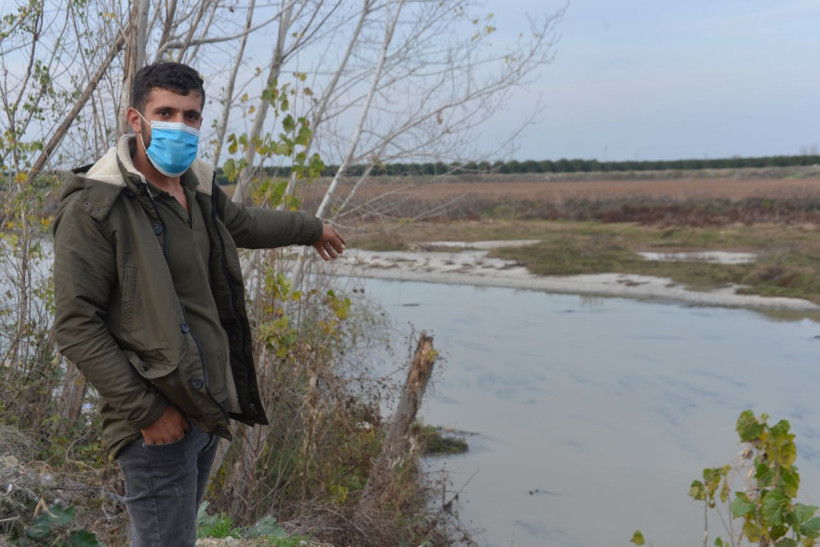 Adana'da ürküten görüntü: 3 bin kovanda on binlerce arı öldü - Resim: 3