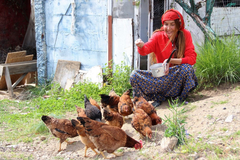 Ünlü mahkenin Bodrum'daki villasını soydular! Kamyonla gelip hayvanlarını bile çaldılar - Resim: 1