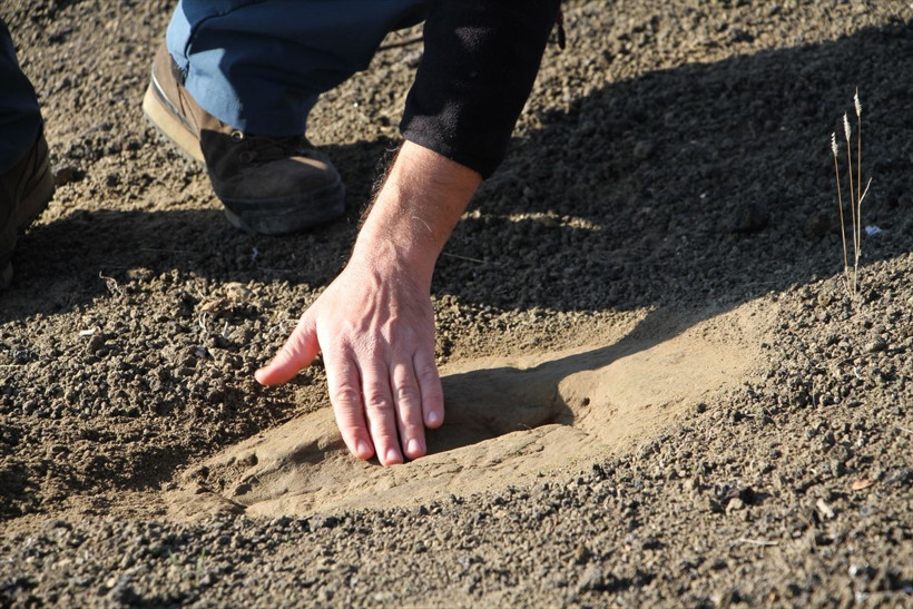 Bilim insanları duyurdu Manisa'da heyecanlandıran keşif! İlk kez... - Resim: 2
