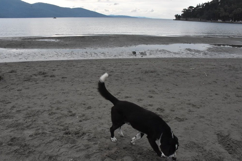 Muğla'da deniz suyu 40 metre çekildi! Korkutan görüntü - Resim: 1