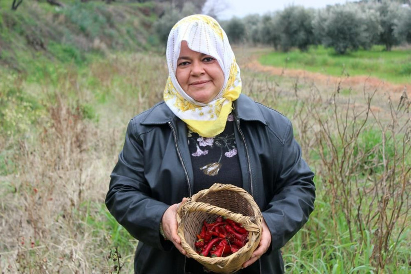 Hatay'da yılana ve cadıya benzeyen biberi görünce dehşete düştü - Resim: 3