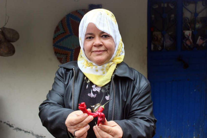 Hatay'da yılana ve cadıya benzeyen biberi görünce dehşete düştü - Resim: 4