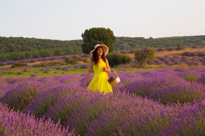 Fiyatını duyan şaştı kaldı! Isparta'da üretiliyor Hollanda sıraya girdi - Resim: 1