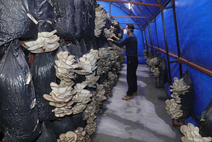 2,5 ay eğitim alıp Yozgat'ta bu işe başladılar! Ayda 6 bin lira kazanıyorlar - Resim: 1