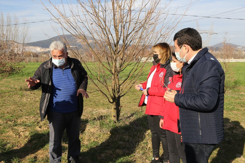 Köpeklerle Muğla'da aranıyor yurt dışına satılacak yüksek gelir getiriyor - Resim: 1